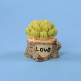 Courtyard in Miniature: Door & Window, Fairy Garden, Fish Tank House, and Nostalgic Table & Chair